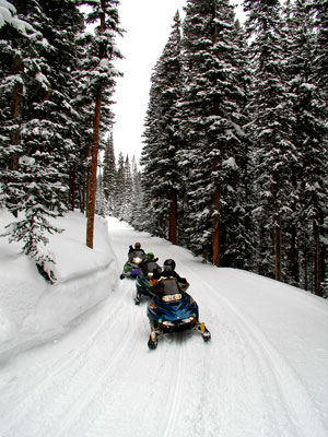 Family Snowmobiling